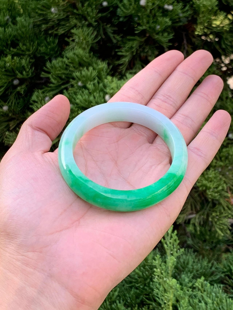 高贵典雅的95白底青手镯78谁不喜欢呢?