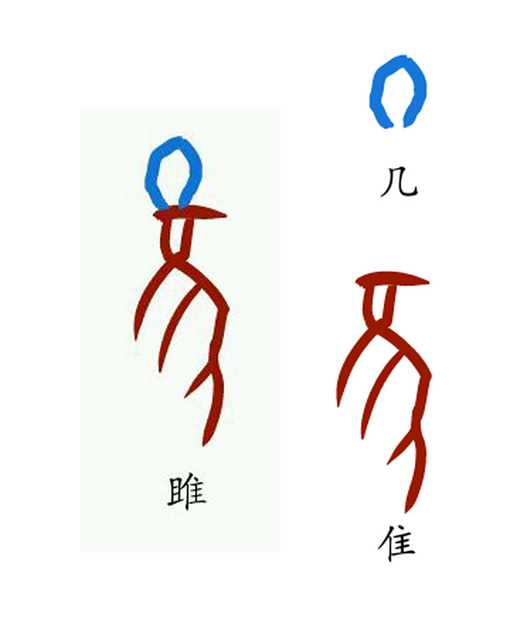 甲骨文识字(12):甲骨文雎,从几(且)在隹上(或侧下)会意,几(且)亦声.