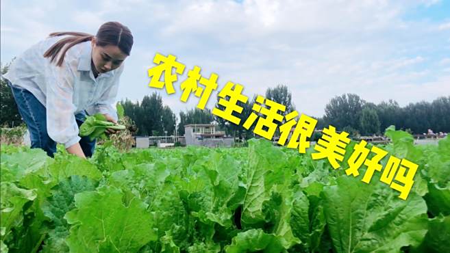 放眼于乡间的山水间,独享这原始的乡村气息,回归最美的田园生活