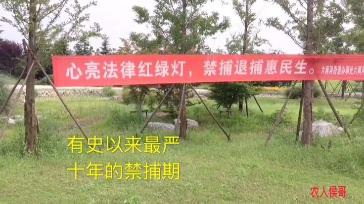 有史以来最严十年禁鱼期,随处可见的宣传标语,美好河湖你我共享