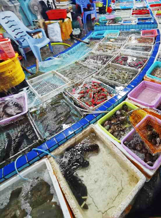 惠东霞涌海鲜市场