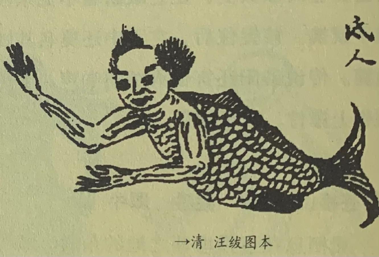 国学《山海经》海内南经——氐人,咱们中国三千年前的美人鱼