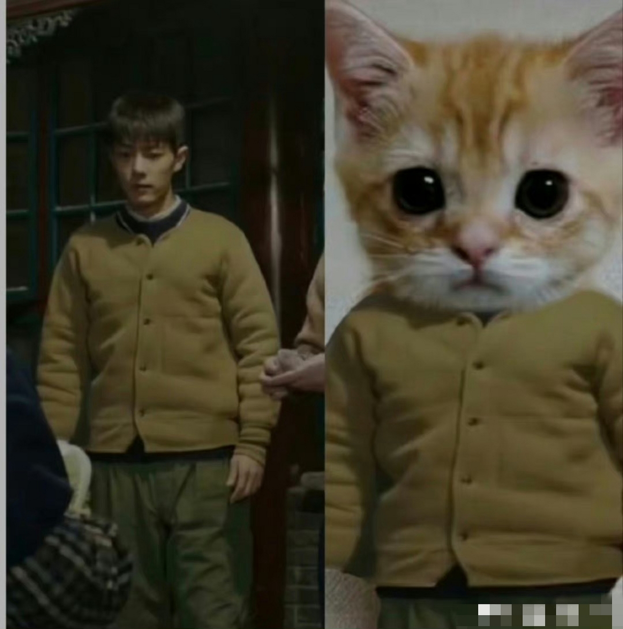 刘能同款大棉袄换个人穿瞬间高大上了哈哈[比心][大笑]#肖战