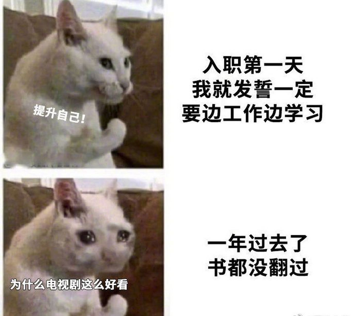 《下次一定》