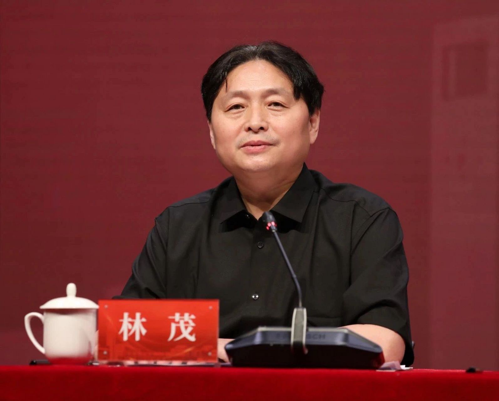 教育部宣布了有关任免决定,林茂同志任中央美术学院