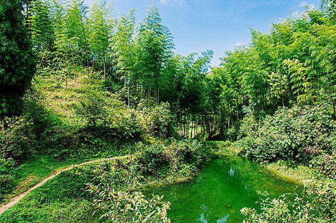 知青老余和西坑岭林场