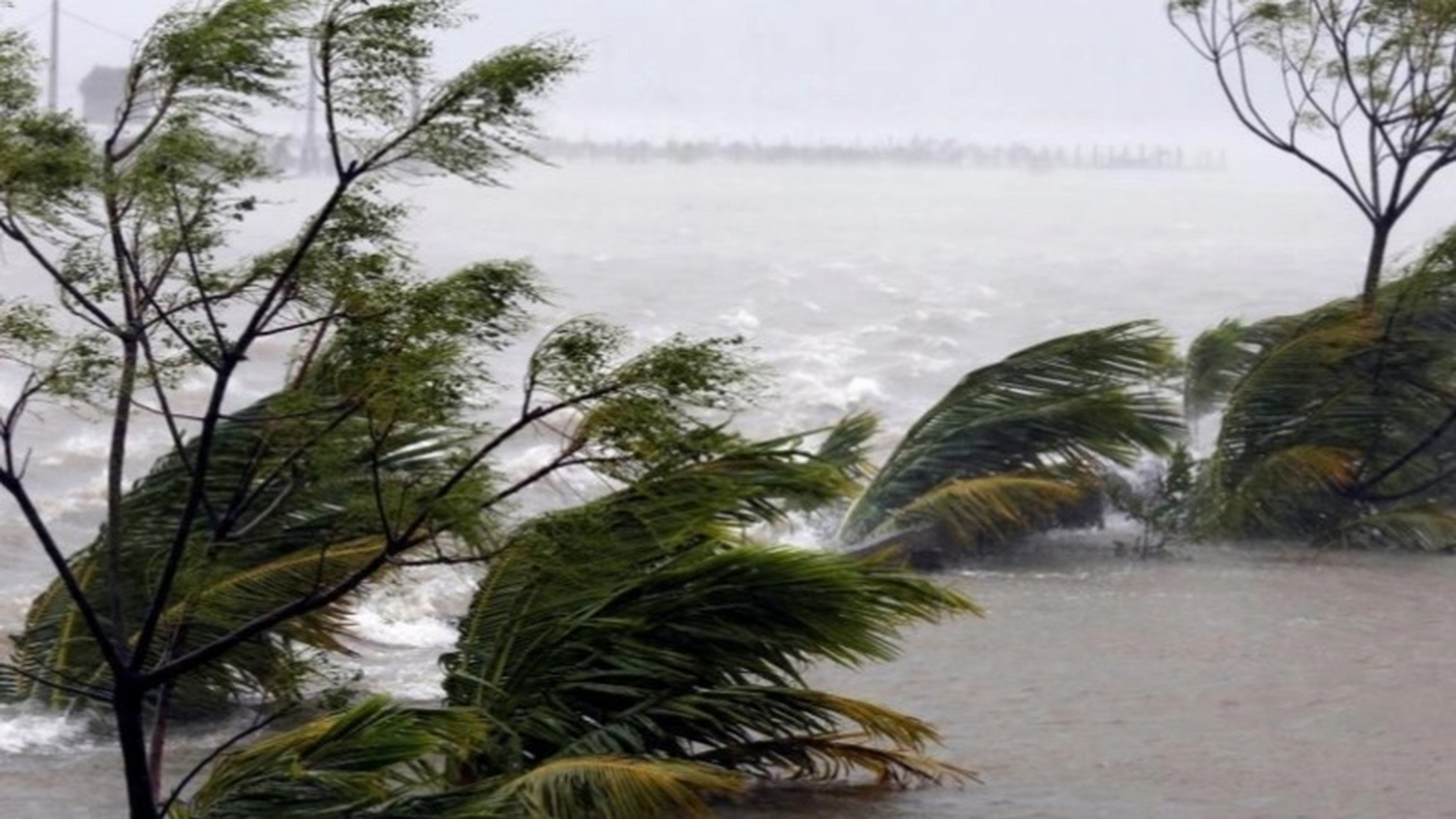台风杜苏芮  面对自然灾害,人们往往会感到无助和恐惧.
