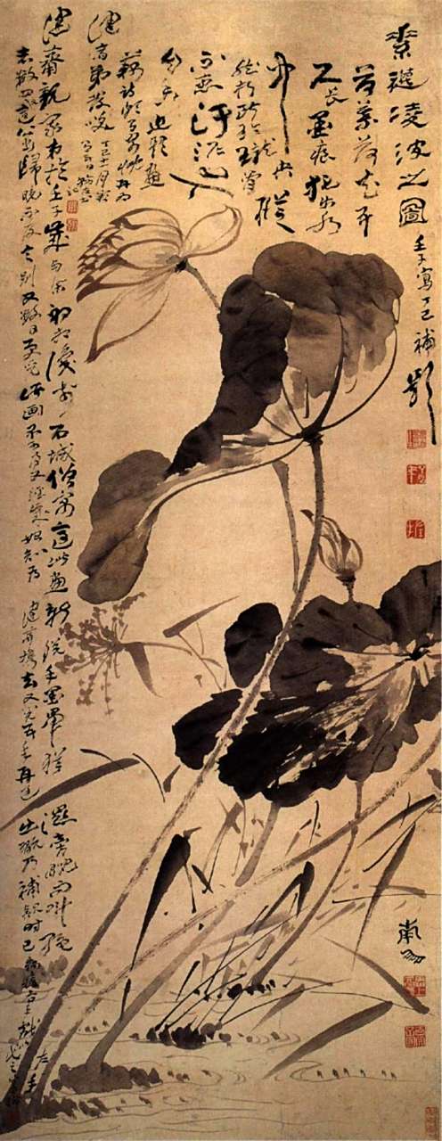 中国花鸟画中的名花卉——莲花【十五】清代名家李鱓,李方膺,高翔作品