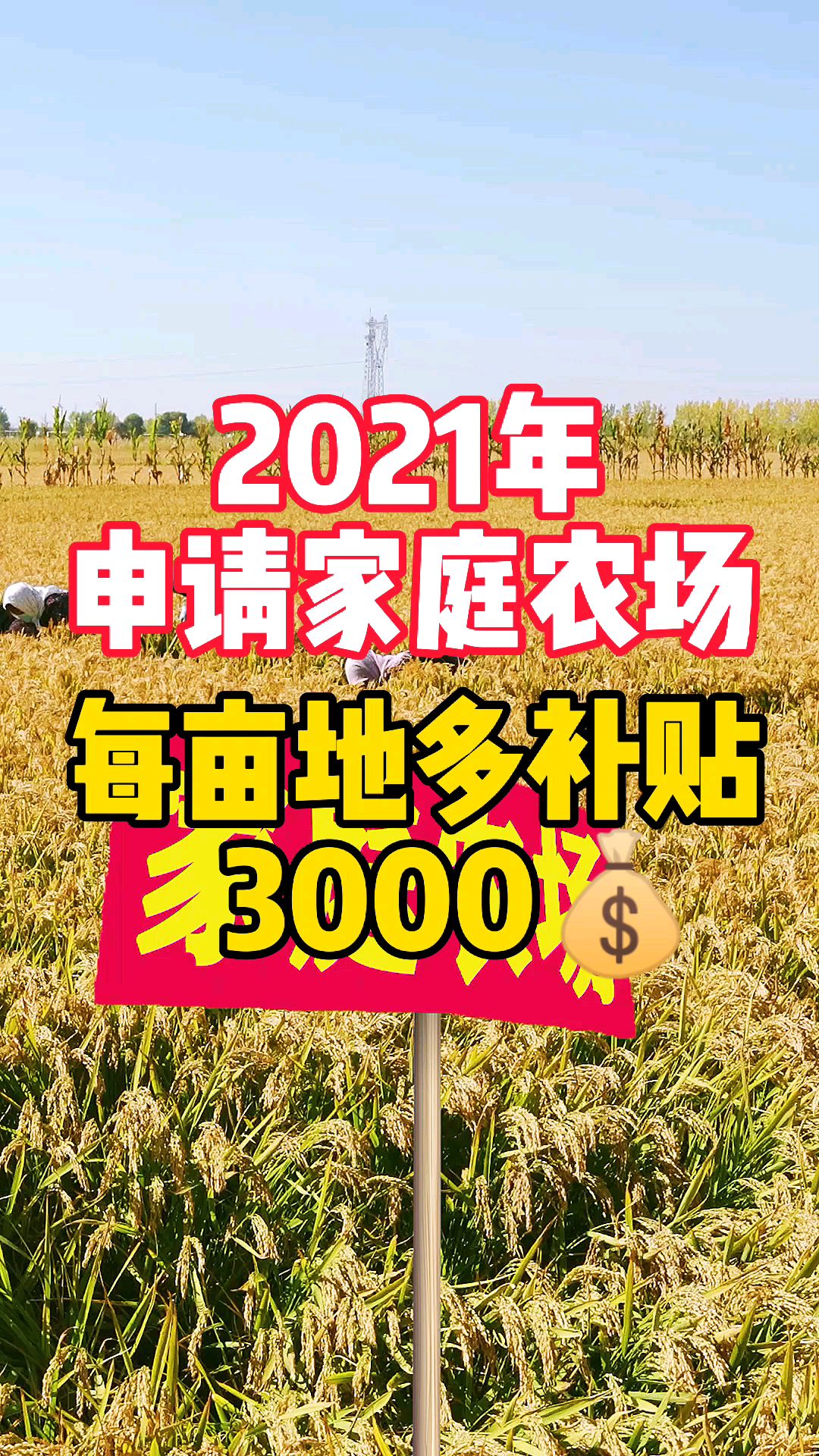 2021年申請家庭農場每畝地多補貼3000