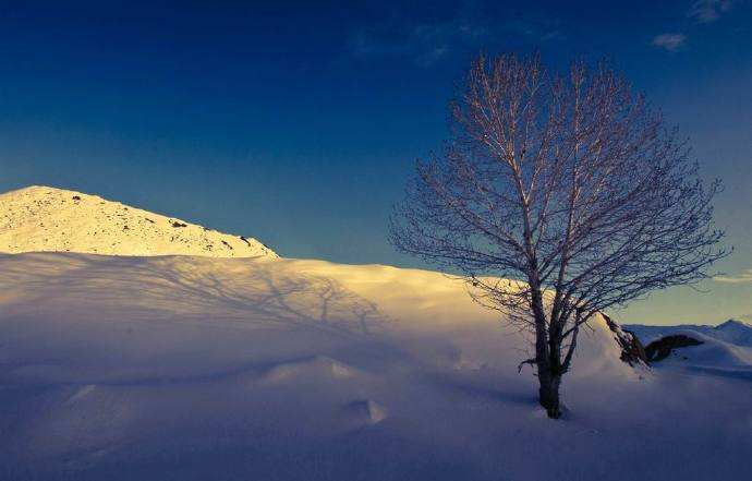 《京华烟云》:银屏