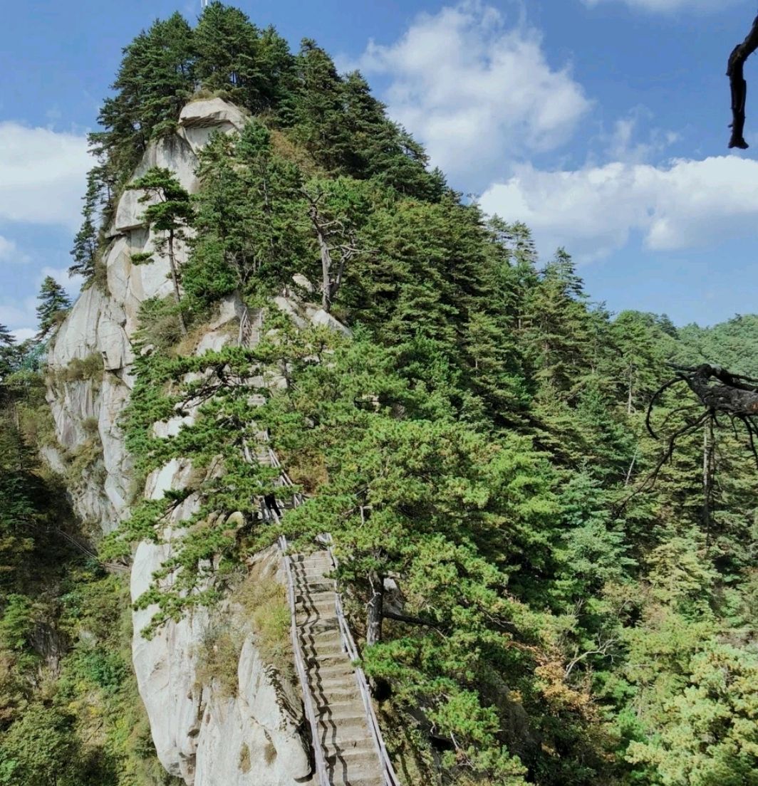 宝天曼风景区图片