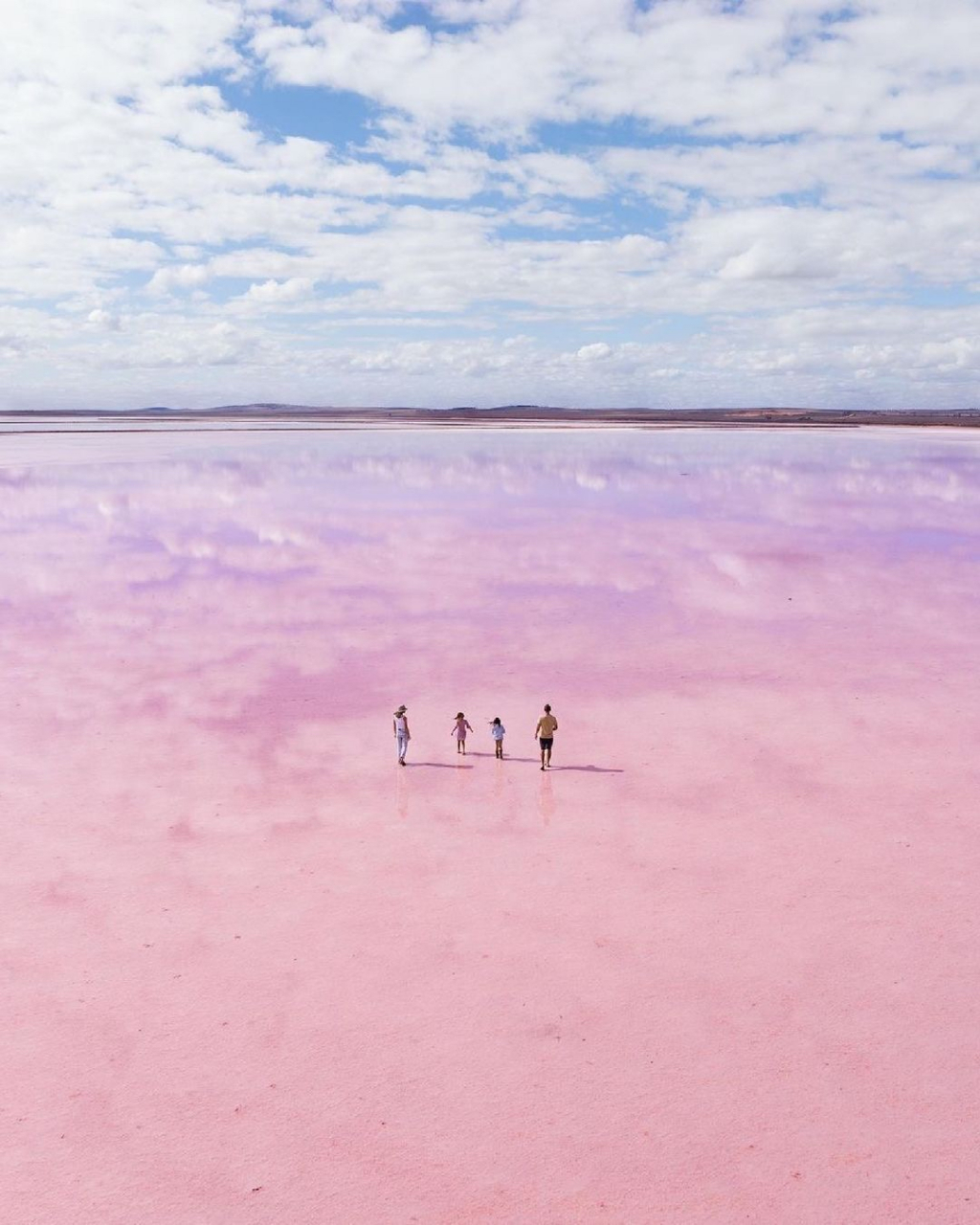 海外文旅# 歌里的"粉色海洋",就在澳大利亚!