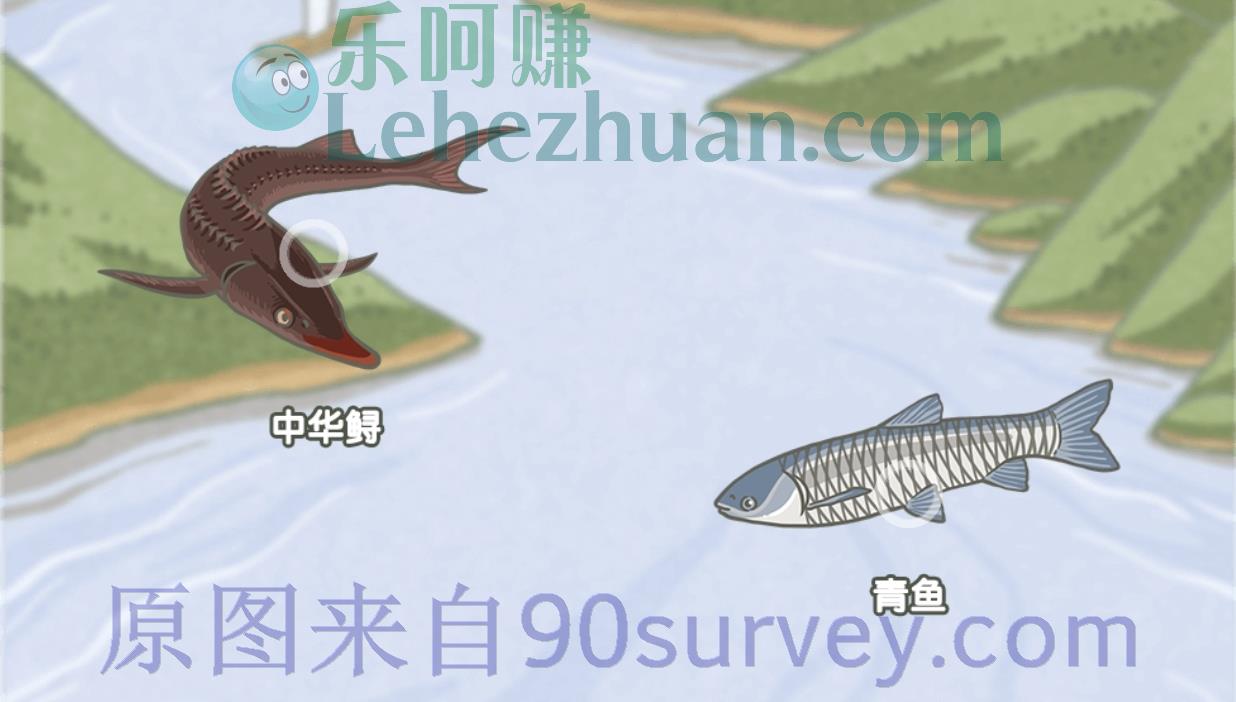 哪种鱼类被称为“水中的活化石”，曾和恐龙生活在同一时代？答案：中华鲟