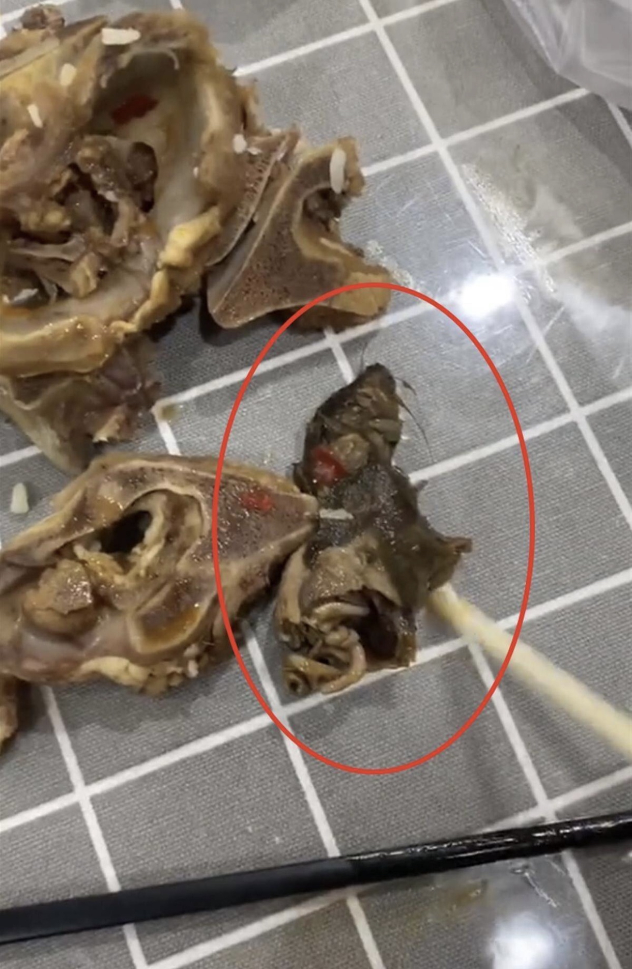 我店里一个老鼠也没有,查监控他也