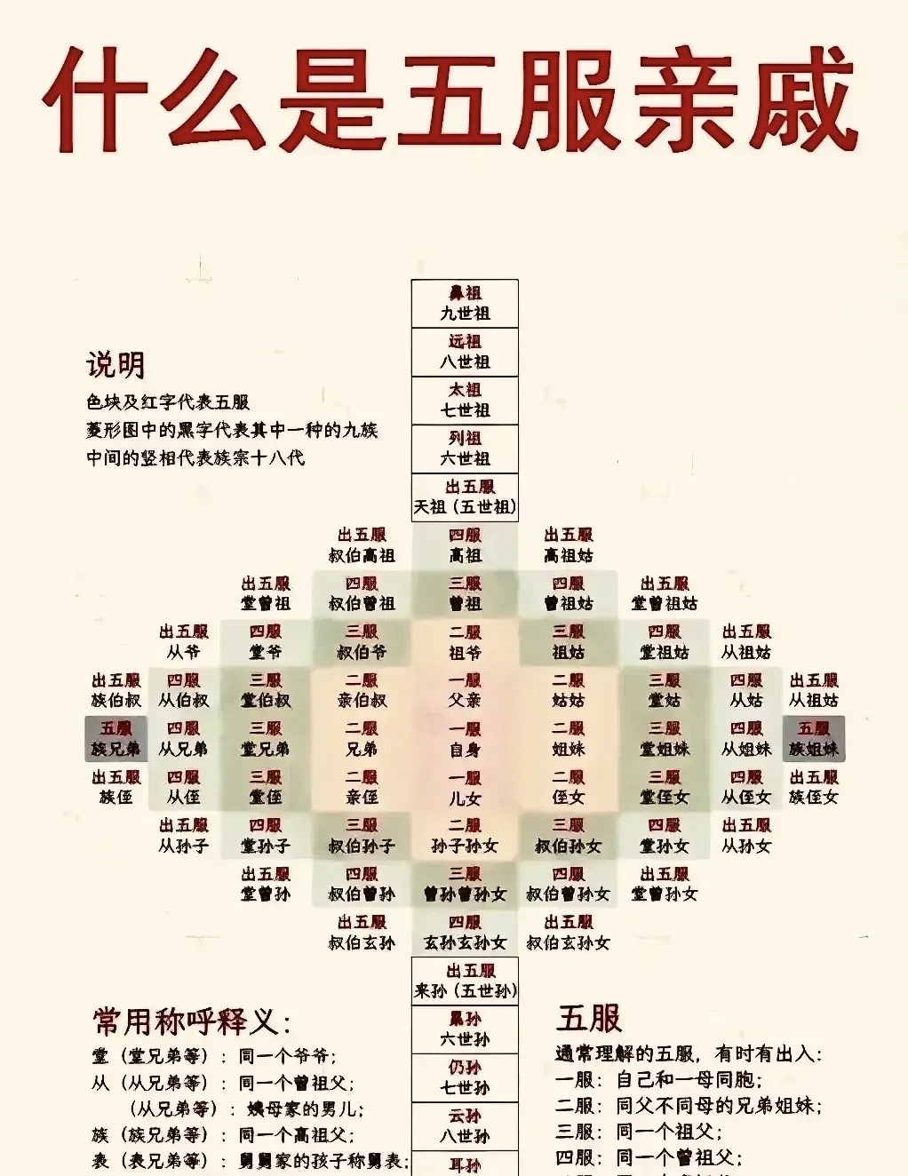 堂兄弟关系图图片