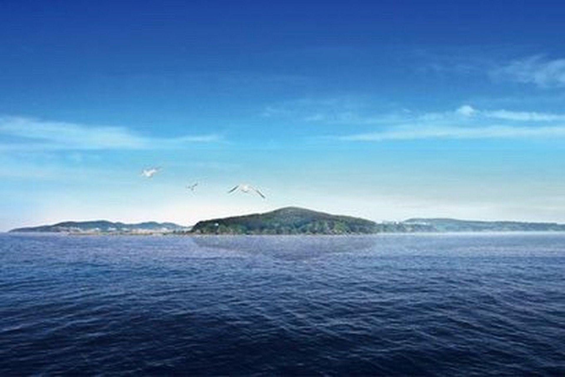 【獐子岛如果退市,证监会会被告上法庭】獐子岛的"扇贝之死",一直被