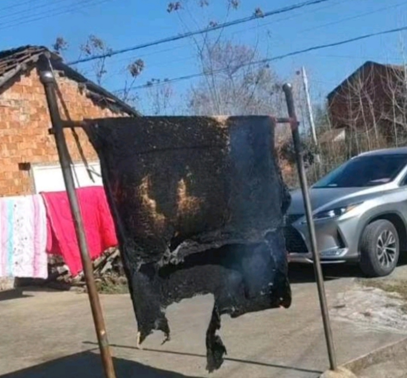 让不要晒偏要晒,晒焦了吧