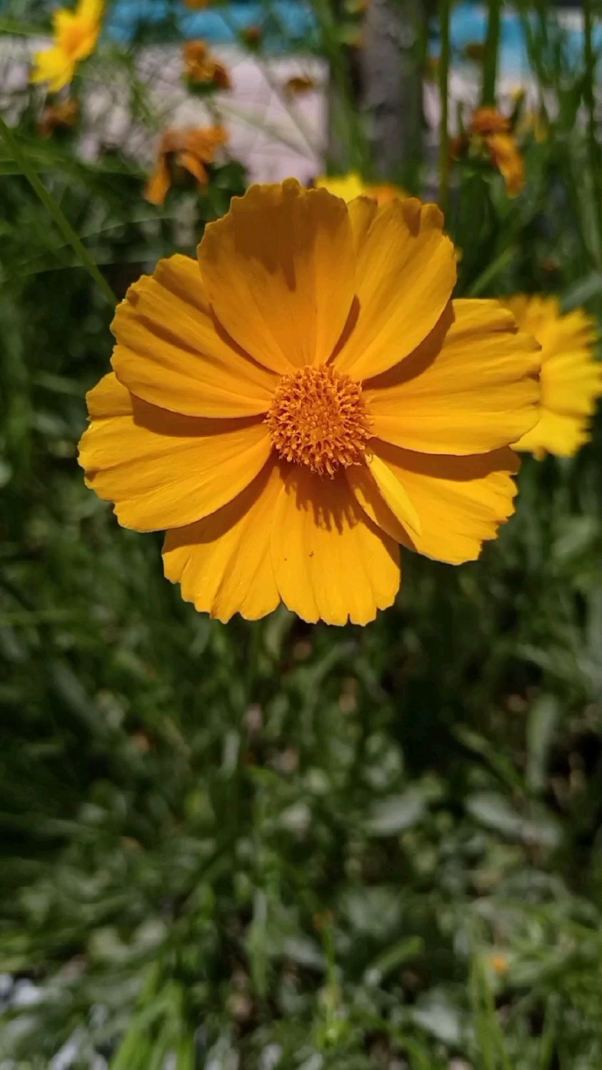 治愈系美景,瞬间让人心情明朗