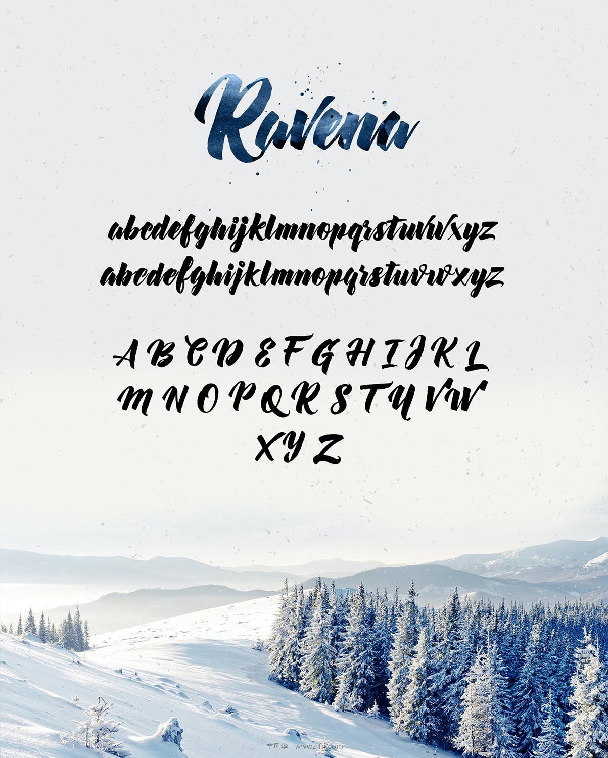 Ravena Script Font-3.jpg