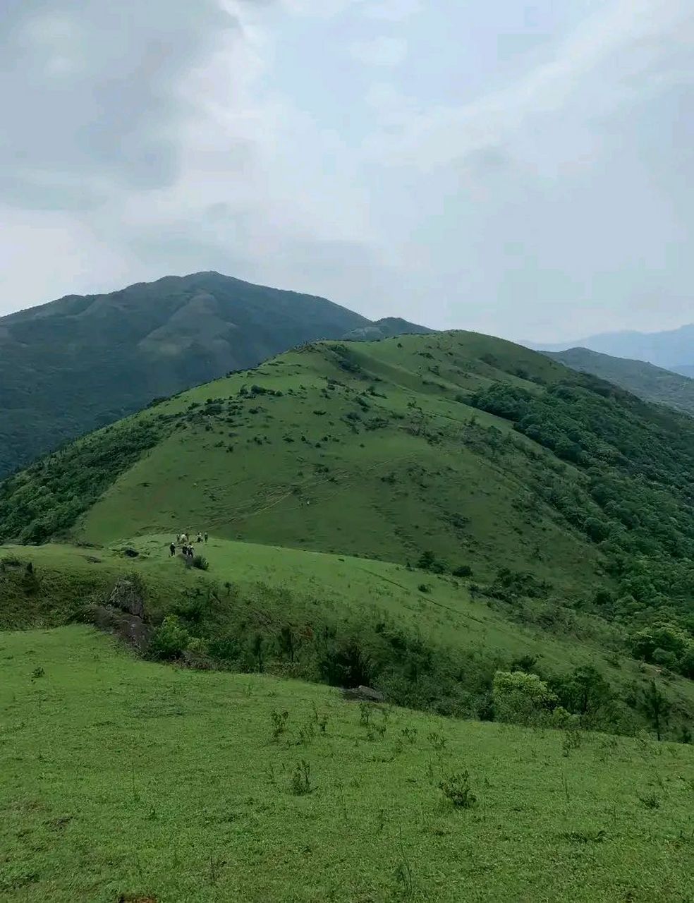 这里不是武功山 ,是望洲顶.         解决焦虑最好的办法就是出去玩.
