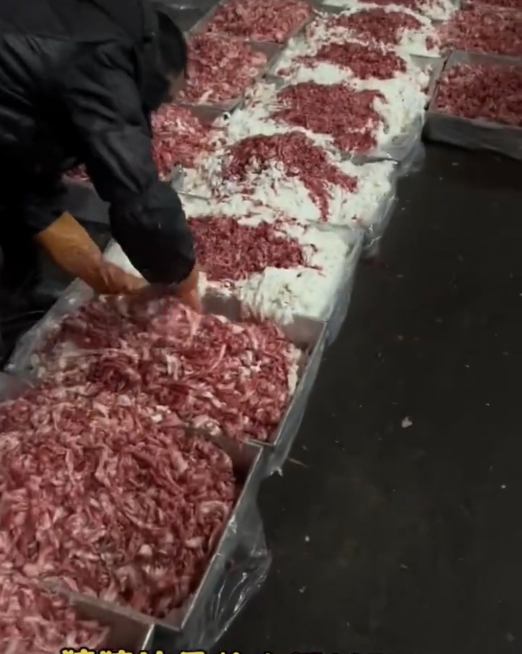 图片的这些牛肉羊肉全部都是合成肉,特别是自助餐里的,这些肉里有老鼠