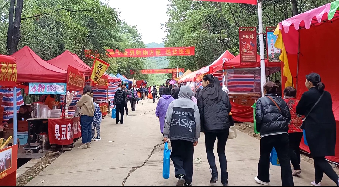美美哒!今年的南阳三月三独山庙会,四年等一回,就为这一天!