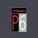 Primavera P6 Pro 16 功能强大的综合项目管理软件