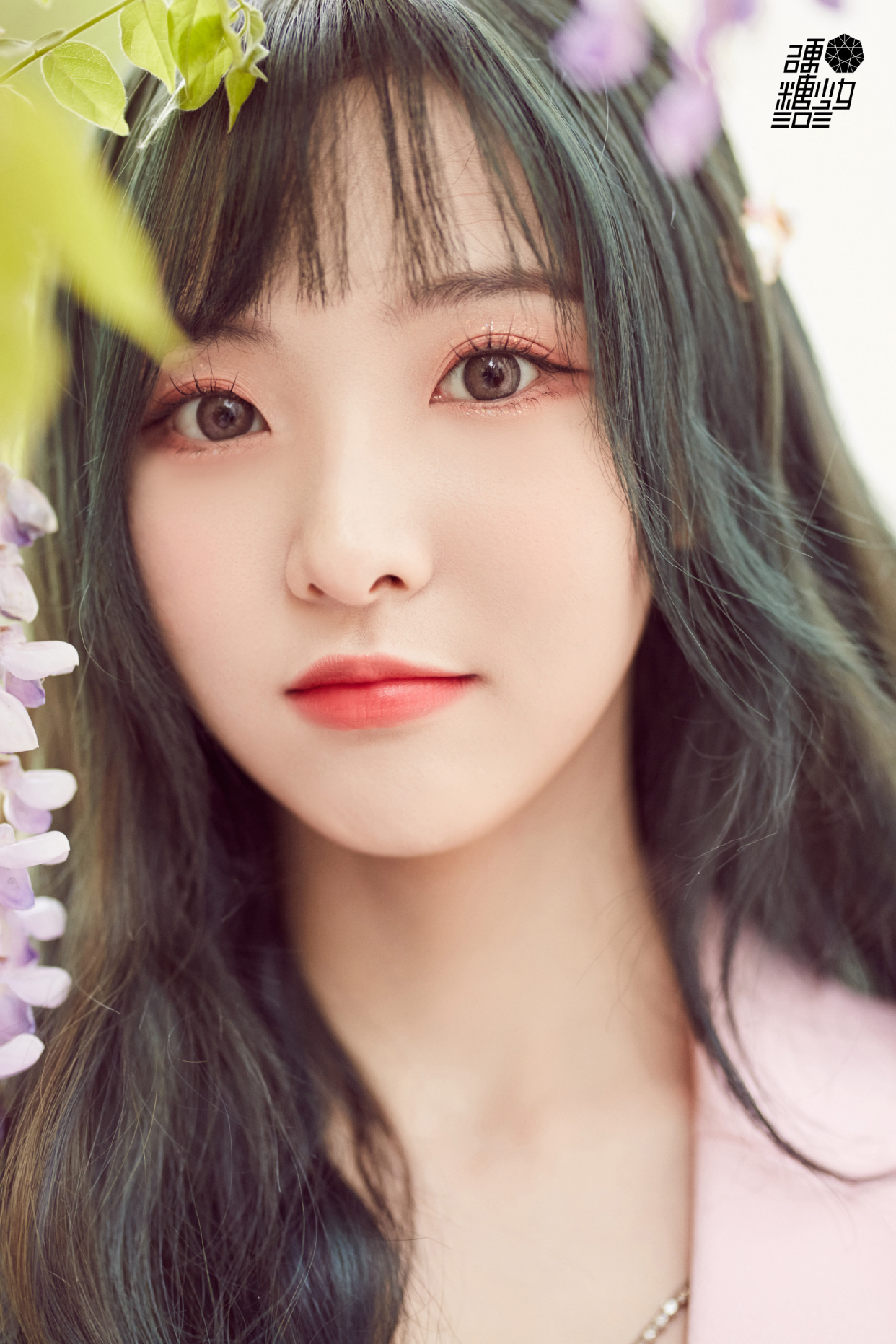 明星写真美图|郑乃馨