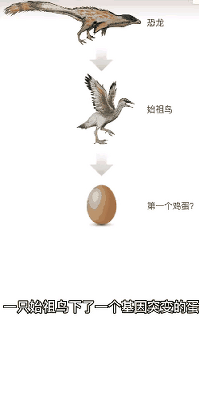 鸡的祖先是始祖鸟,始祖鸟的祖先是恐龙.