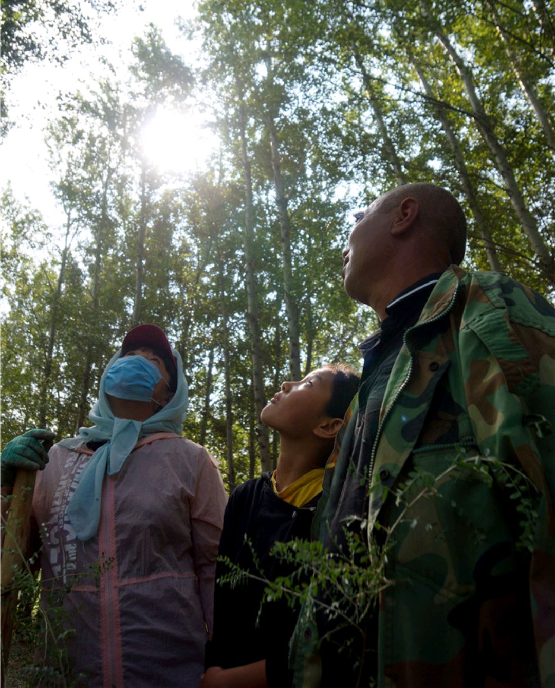 科尔沁沙地绿色追梦人——记三代治沙植树人宝占柱一家