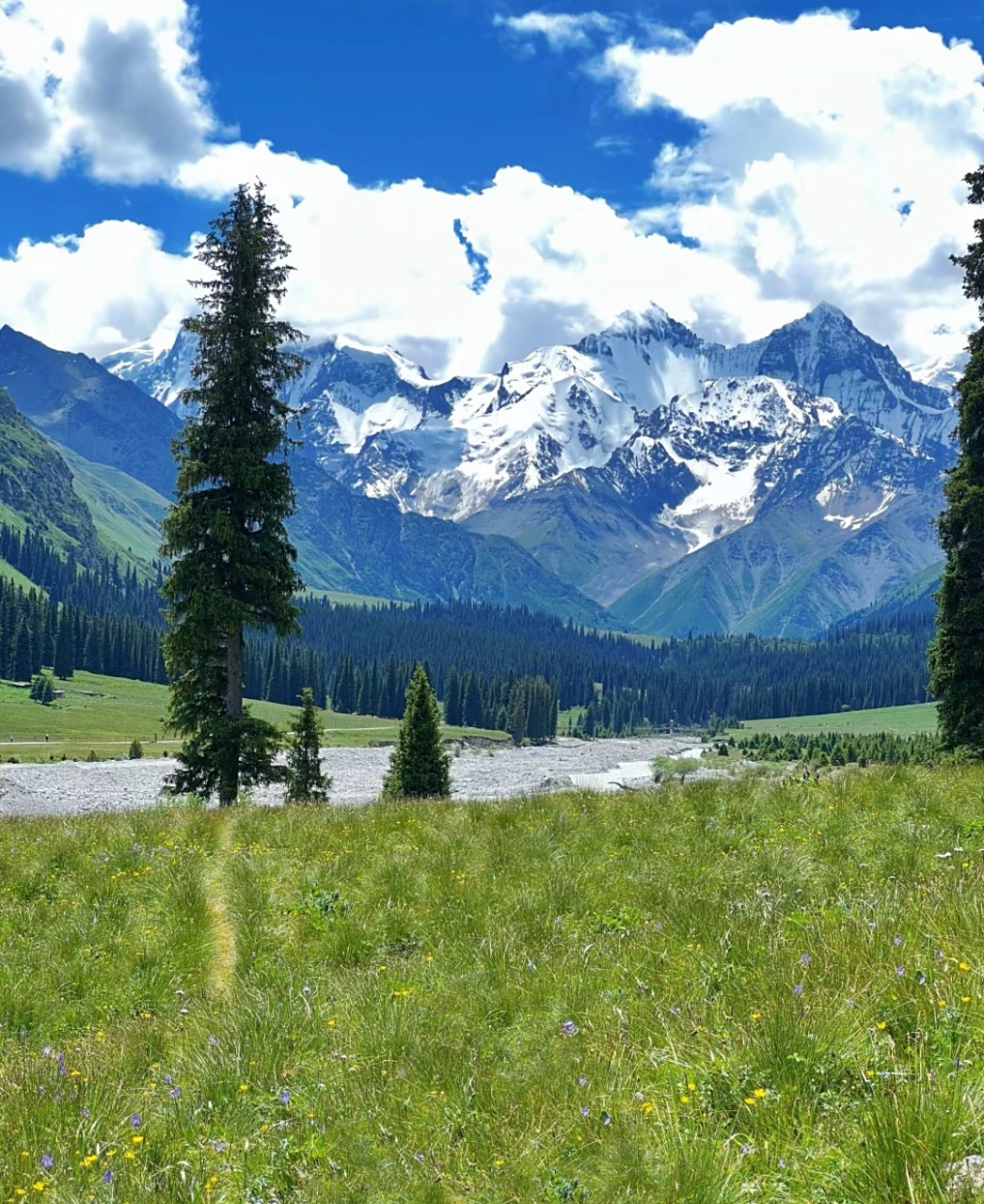 昭苏夏塔风景区,远处有皑皑白雪,蓝天白云如梦如幻,美不胜收.