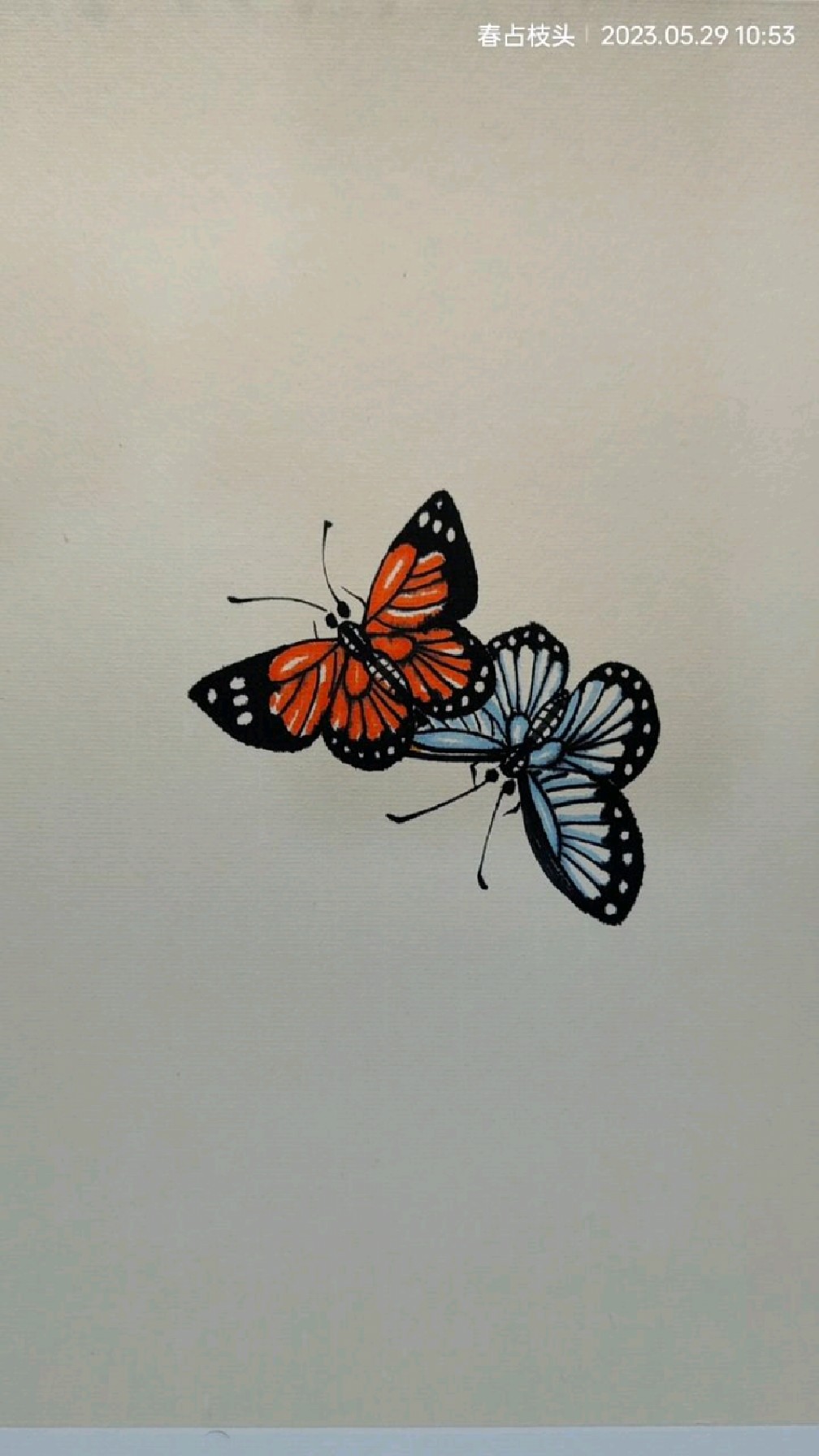 两只花蝴蝶,简单好看,一起画吧!