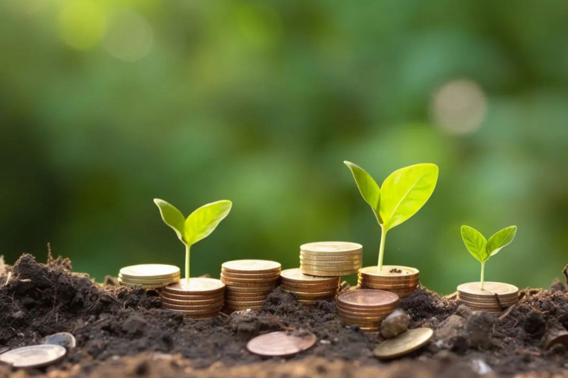 今年夏天热浪席卷全球,有记录以来最热的七月,地球已进入沸腾时代.