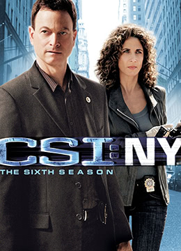 犯罪现场调查：纽约第六季