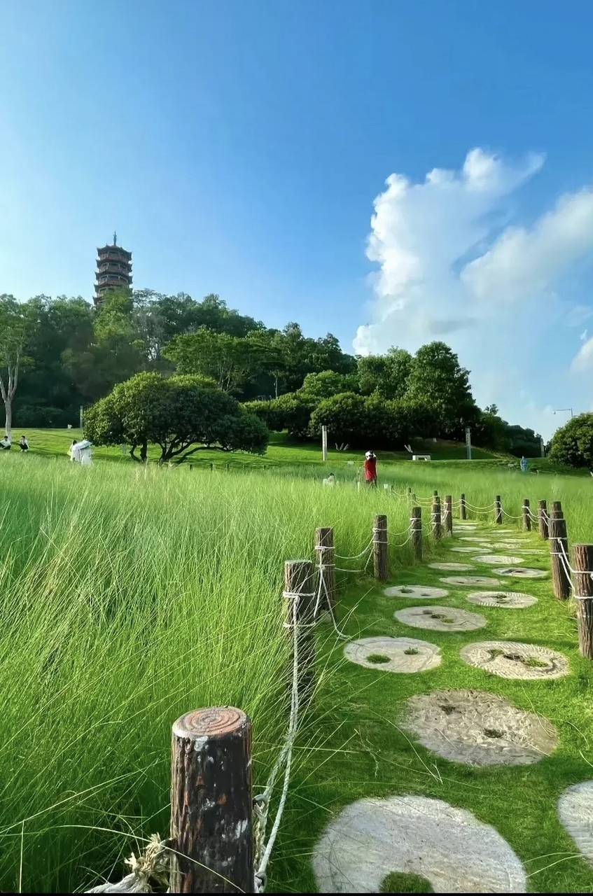 深圳红花山公园