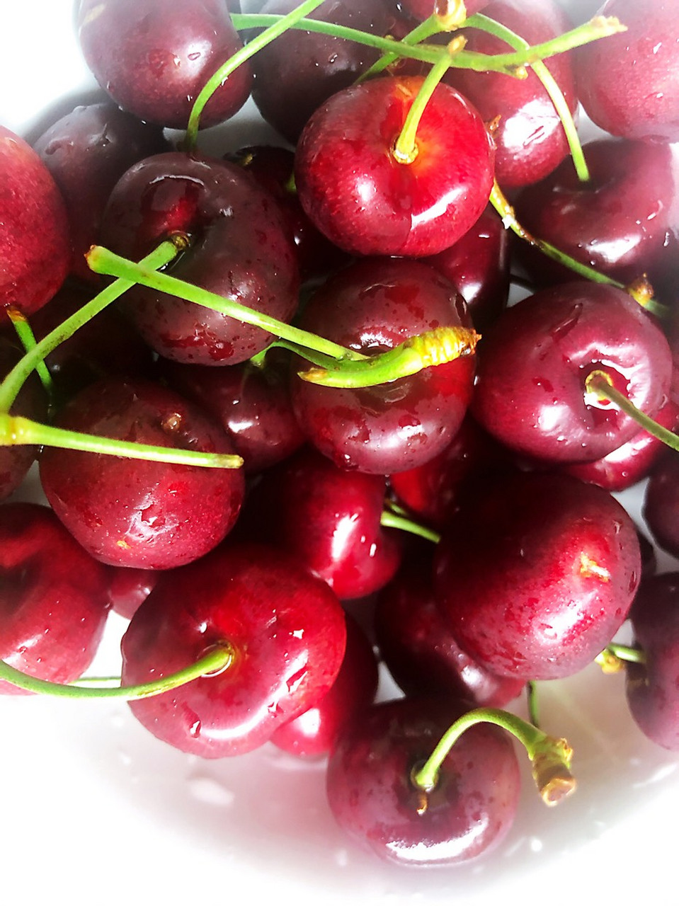 北寨樱桃团购网站地址_北寨门票价格