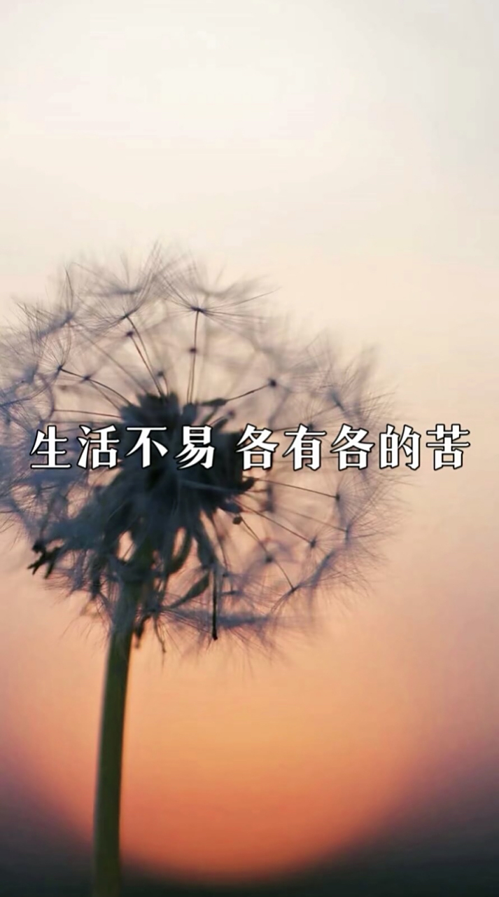 生活不易 各有各的苦