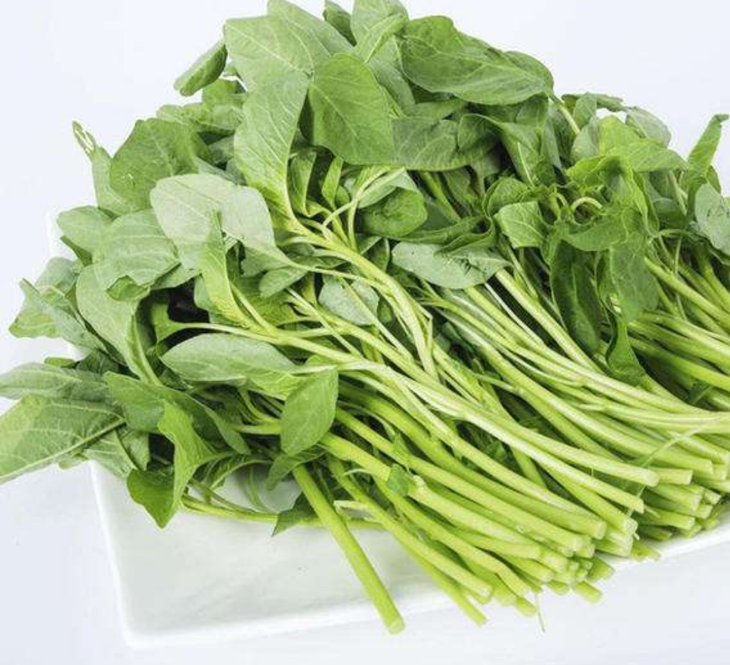 苋菜- 热门商品专区