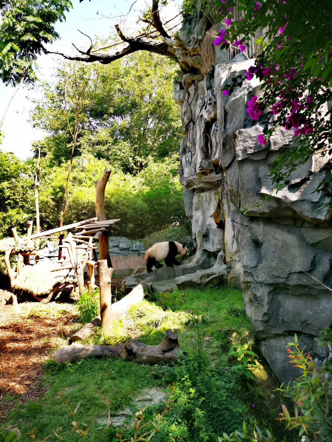 勤劳不一定能致富, 但懒惰一定会贫穷