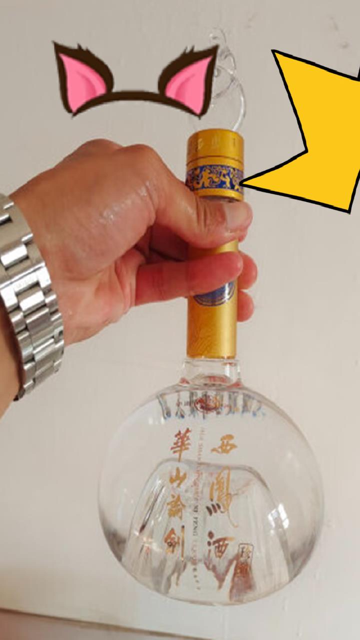 西凤酒 华山论剑10年 凤香型 白酒 52度