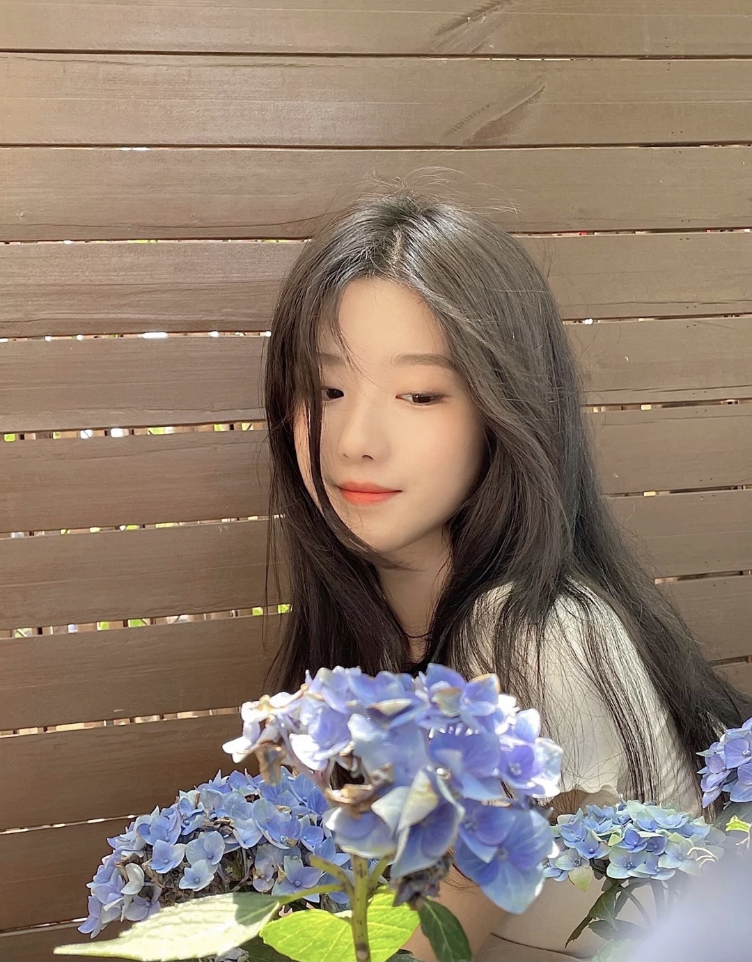 哈尔滨师范大学校花