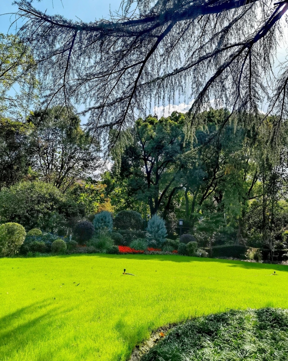 上海徐汇东安公园令人深深陶醉