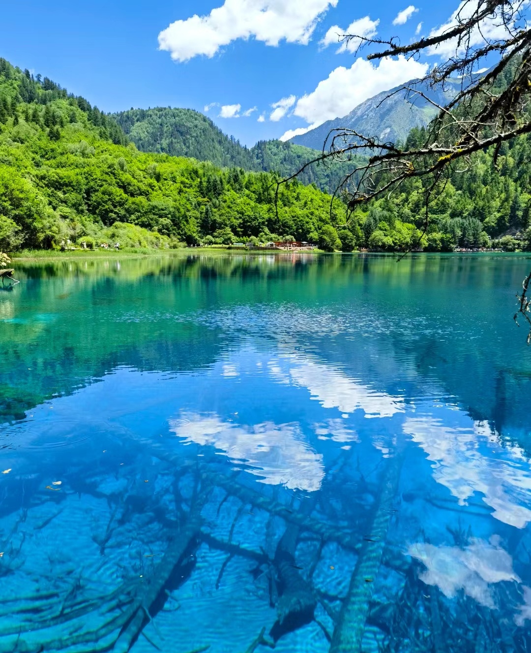 九寨沟是一个迷人的人间仙境,它以美丽风景吸引世界各地的游客