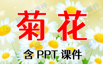 小班美术教案ppt课件:菊花