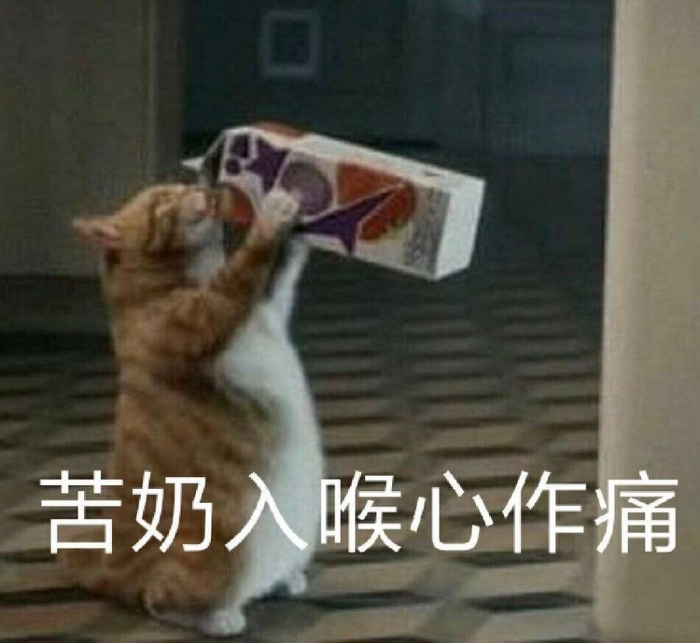 家人们就是说大学之后发现身边的同学都好会思考好会