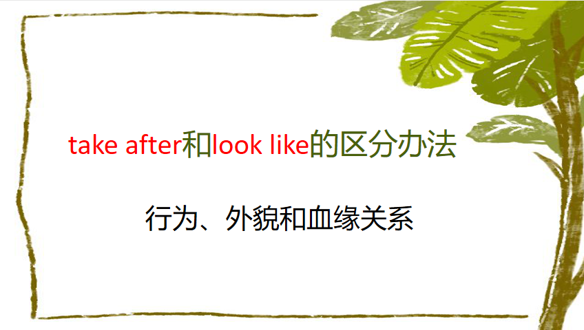 take after和look like的区别,从行为,外貌和血缘关系可以区分