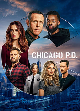 芝加哥警署 第八季