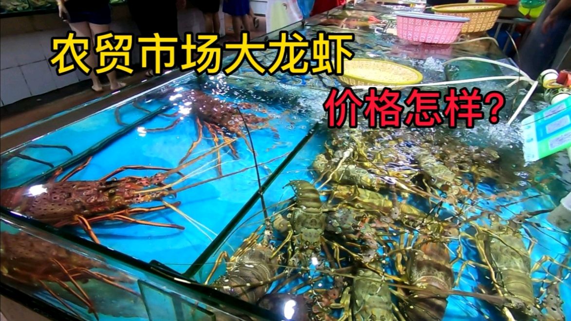 广西东兴农贸海鲜市场,海鲜大龙虾很新鲜,看看价格怎么样