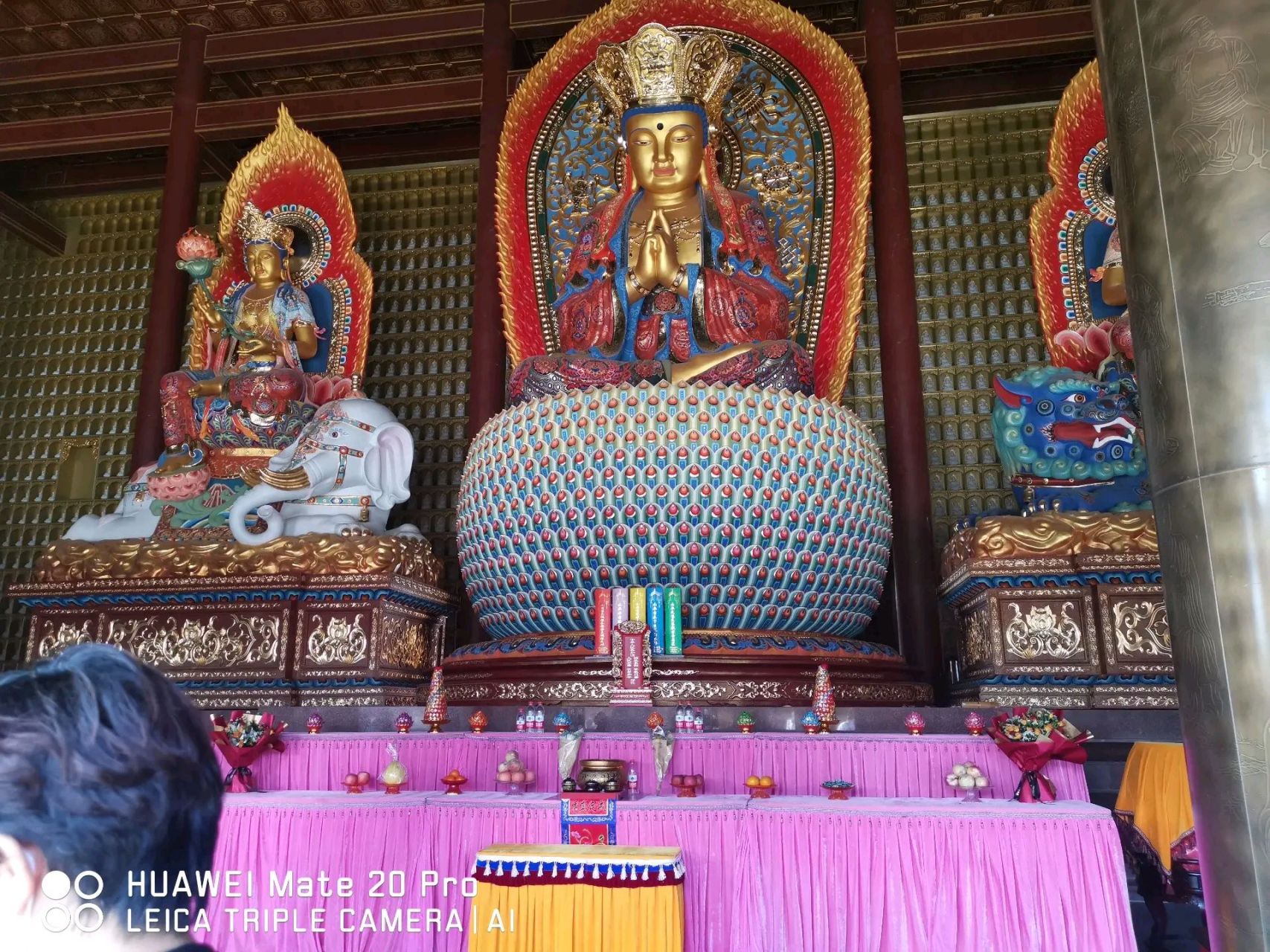 要我说那就去我们聊城护国隆兴寺 寺庙是一个庄严肃穆的地方,所以需要