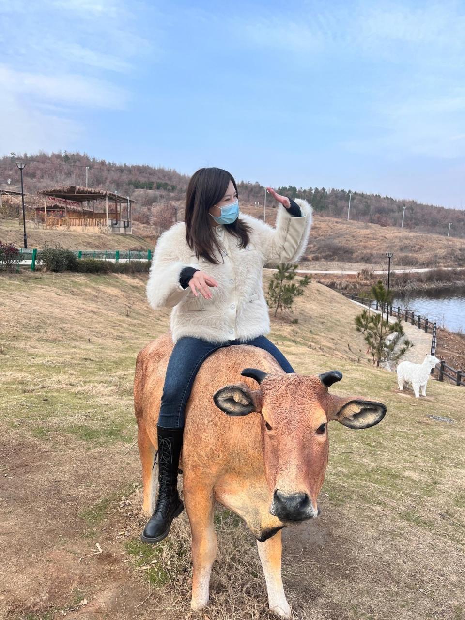 别人骑马,我闺蜜骑牛